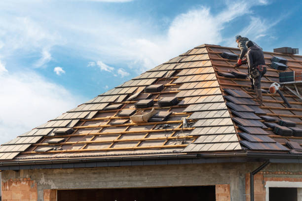 Best Roof Replacement  in Greeneville, TN